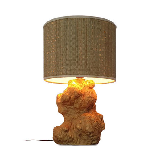 DB7l4-Rustic Table Lamp; home decor ; handmade gift- chup chieu