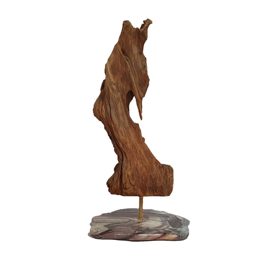 Wooden Sculpture - Natural Special Decoration For Home Decor SC101