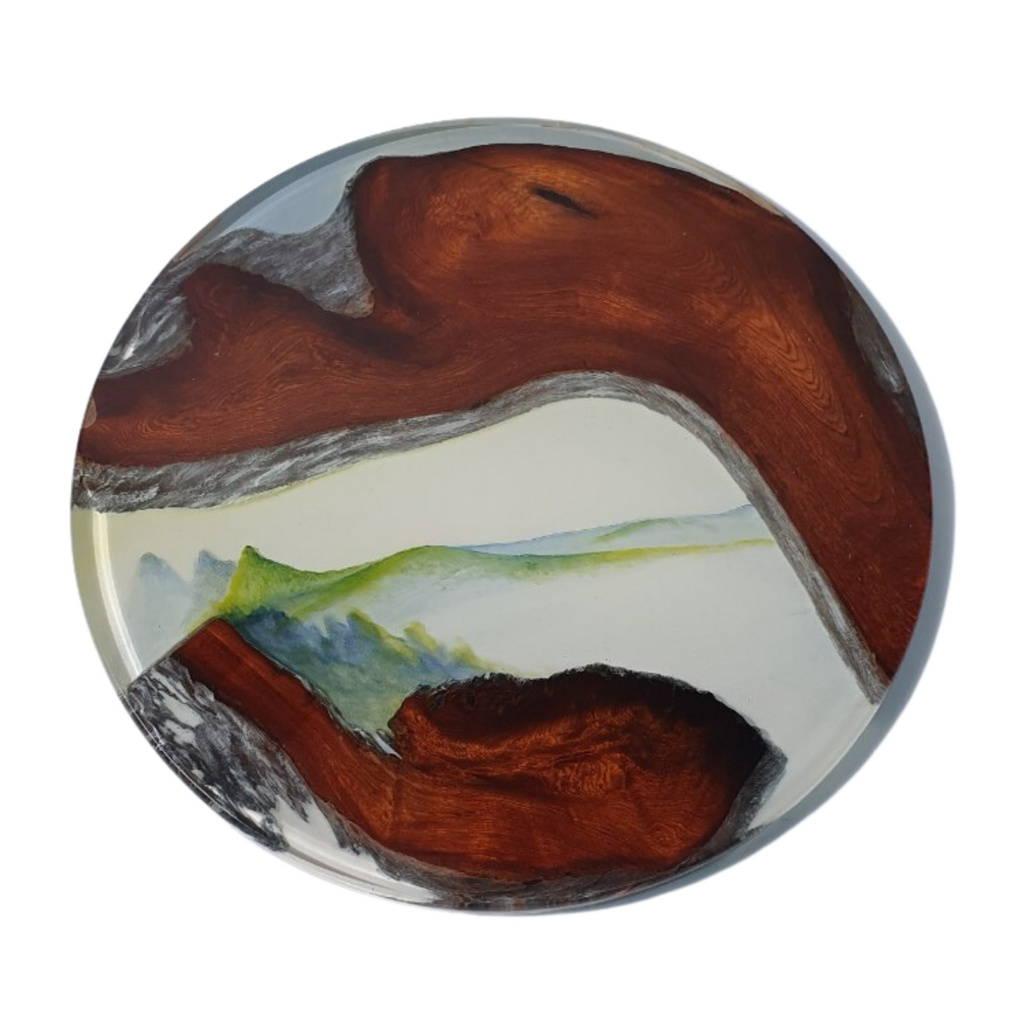 B257; Epoxy coffee table; Art Resin Table;Custom Made Resin and Drift Wooden Coffee Table, Epoxy Table Round , Resin table, Epoxy end table.