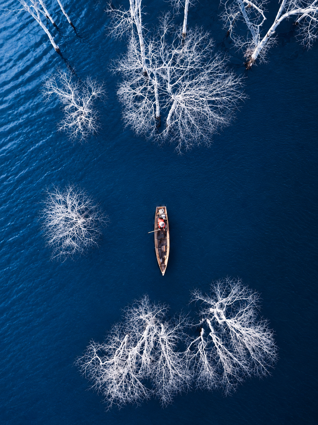 Silent Blue – Tĩnh Lặng Giữa Hồ Xanh