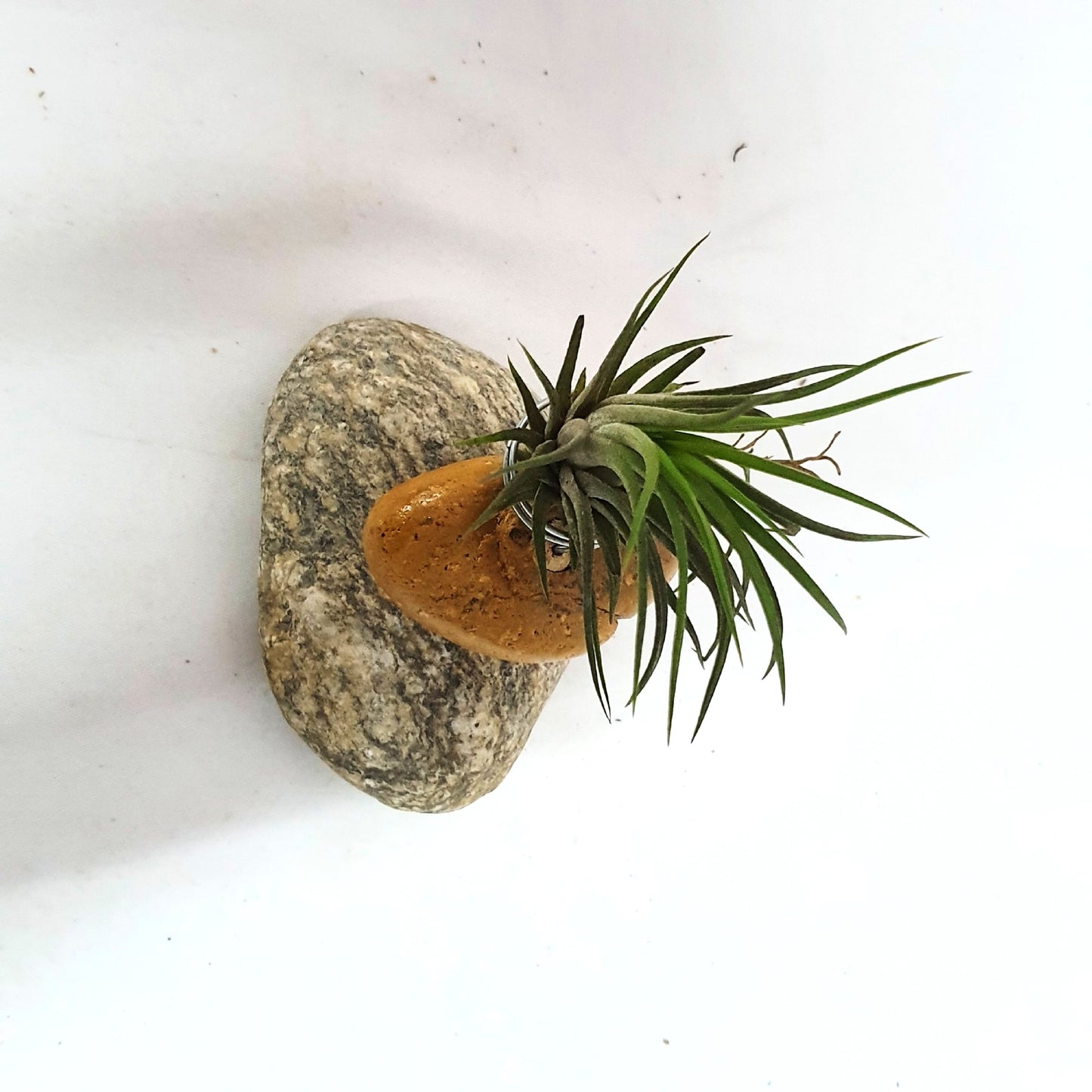 Gravel holder; Air Plant;PL13