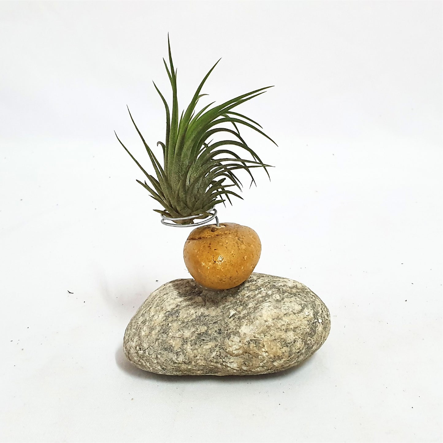 Gravel holder; Air Plant;PL13
