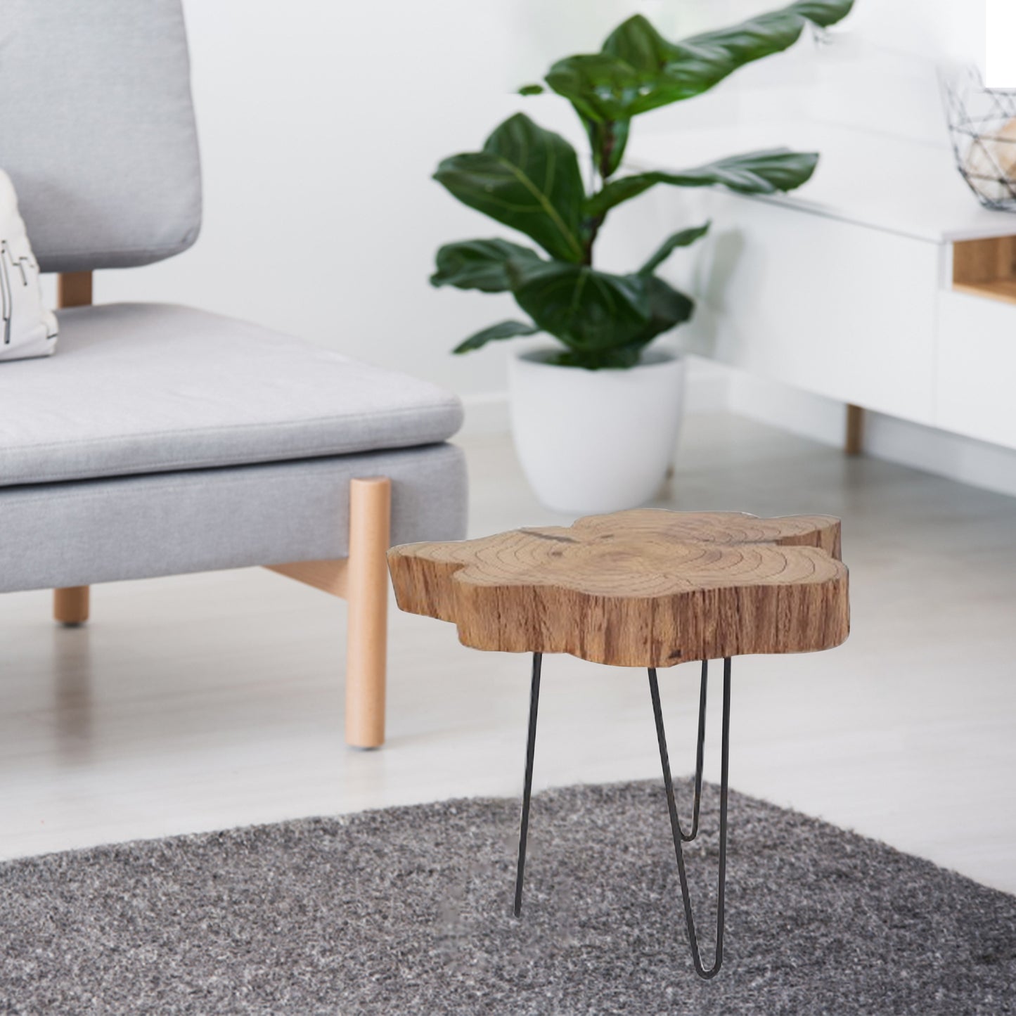 wooden table, driftwood table, interior decoration BG25
