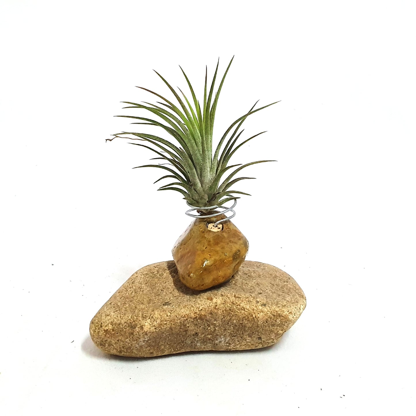 Gravel holder; Air Plant;PL13
