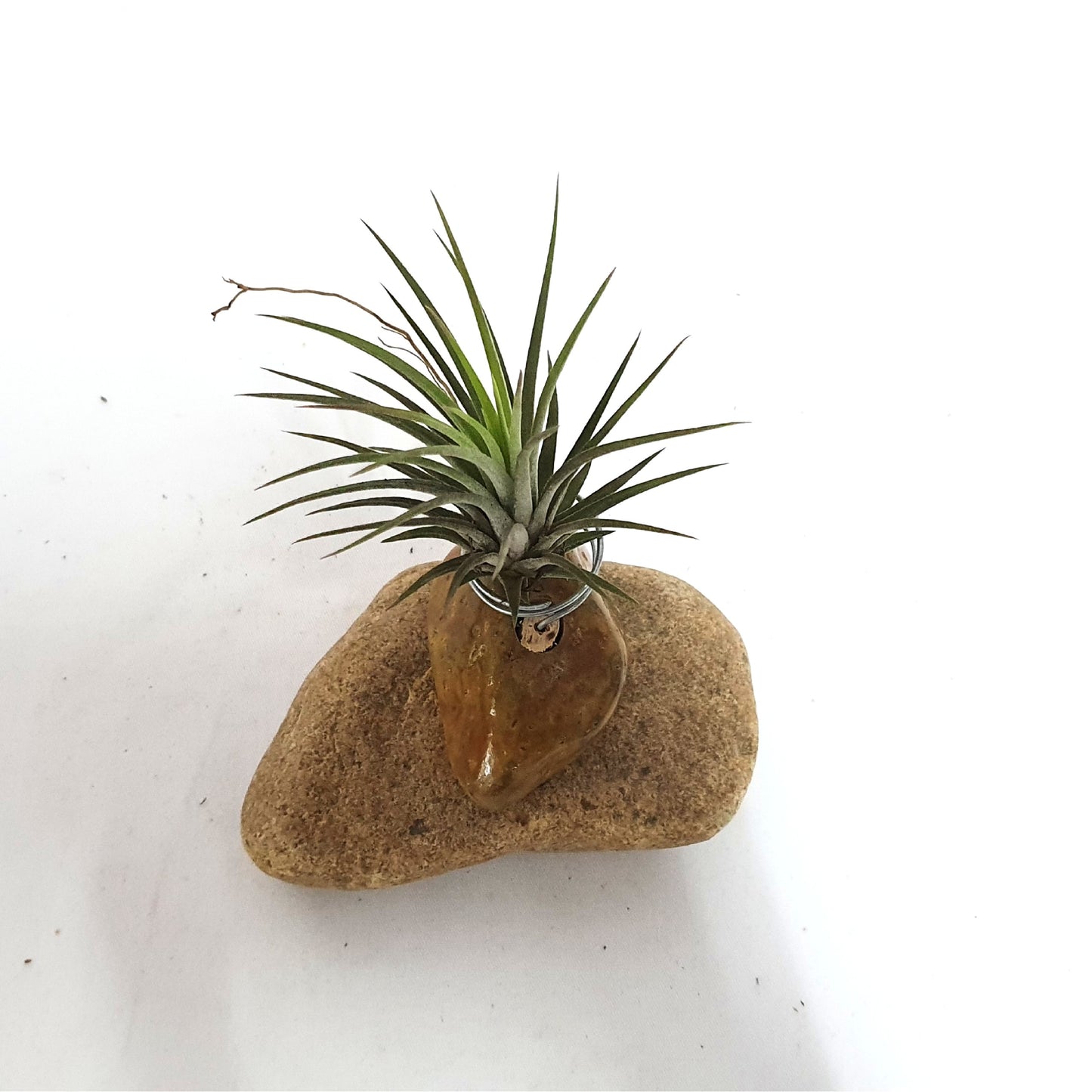 Gravel holder; Air Plant;PL13