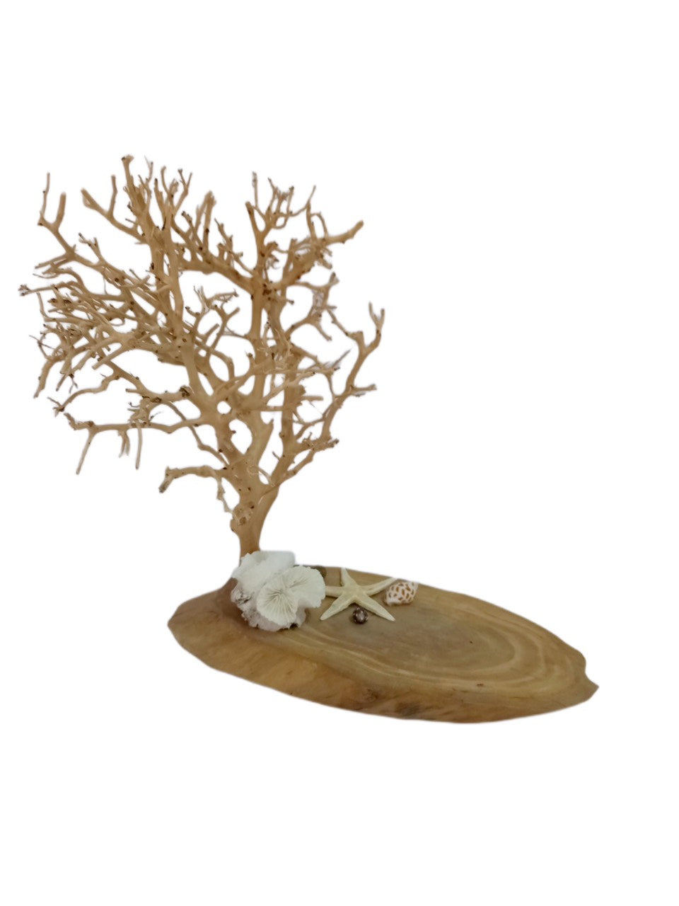 The set of Candle Holder, Scented Candle and Set of 6 Saver Scented Candle ; rustic candle holder ; rustic candle base